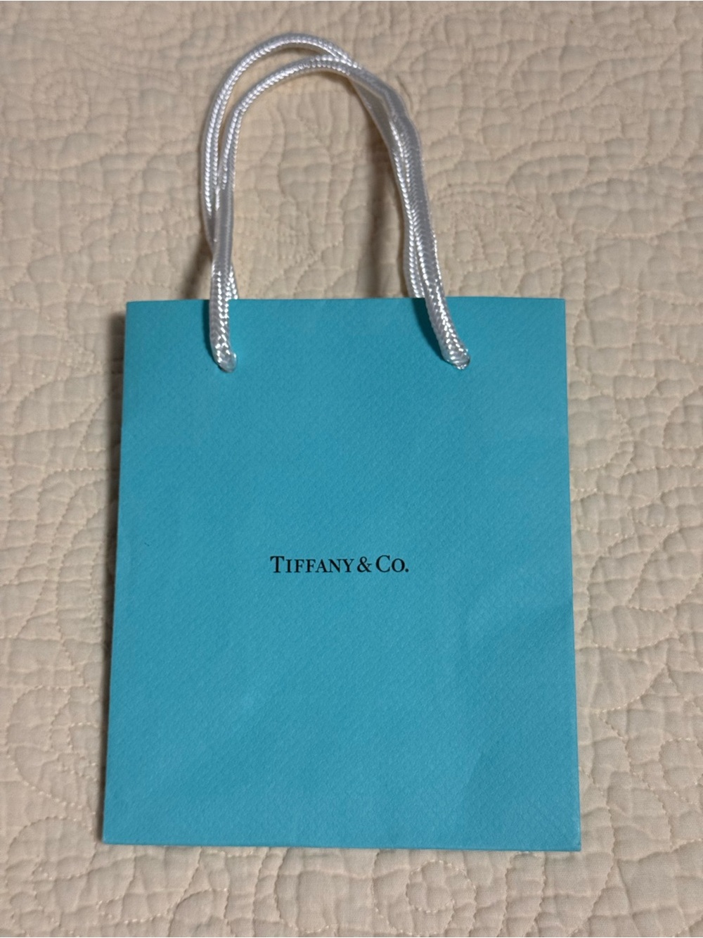 Tiffany & Co. Small gift bag Signature Blue! 💙